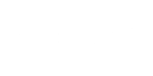 Subway Logo