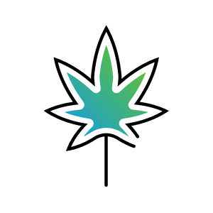 Cannabis